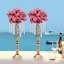 Toiles de fond et enseignes-97872269-97872270