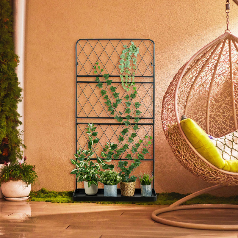 Treillis de support pour plantes Ringwald