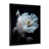 Black Picture Frame