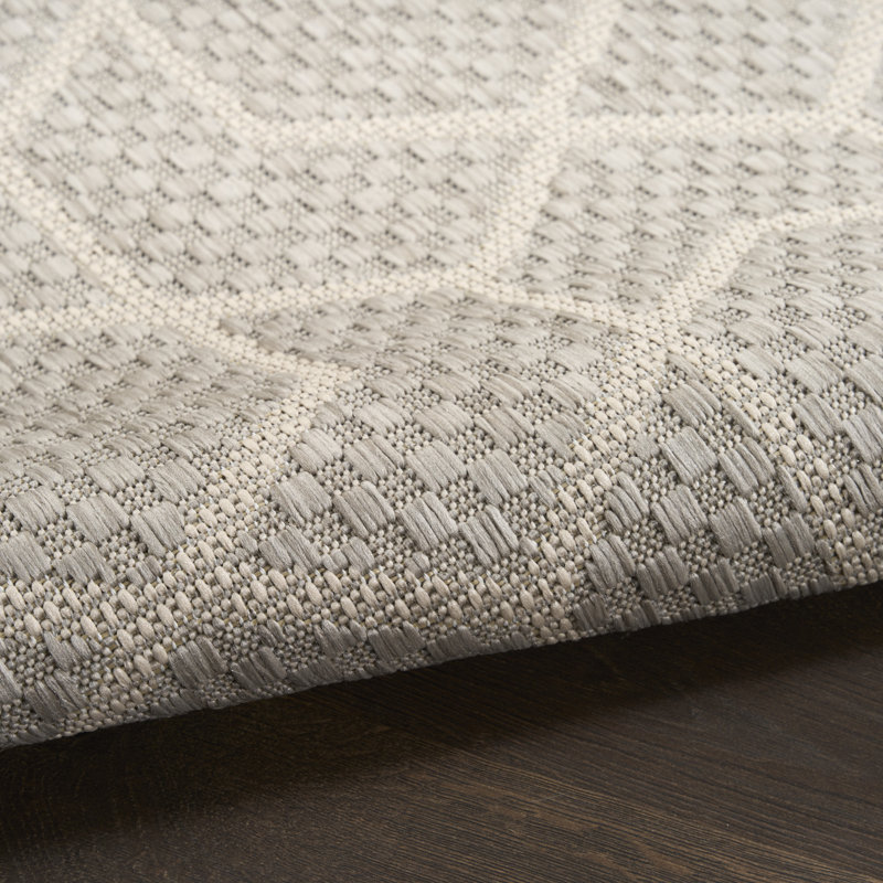 Reidy Modern Indoor/Outdoor Rug, Rectangle 4' x 6', Gray
