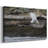 Solo Flight -Gallery Wrapped Cavas-260860267