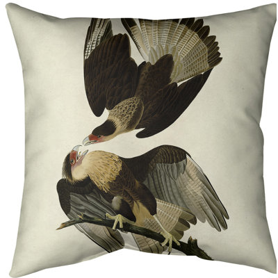 Brasilian Caracara Eagle Pillow Throw Pillow