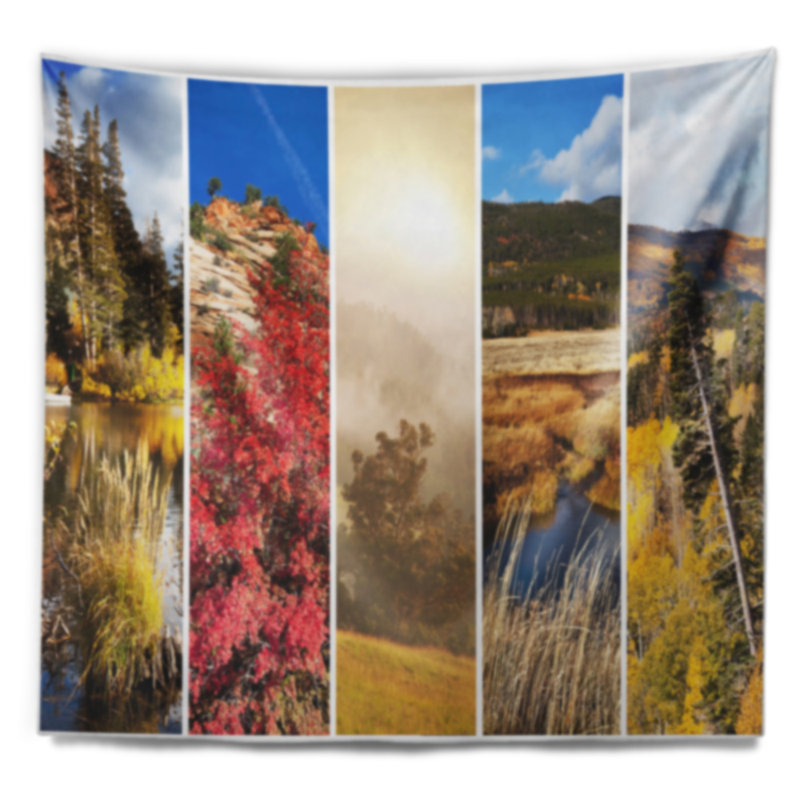 Paysage d'automne dans la Sierra Nevade, H 32 po x l 39 po