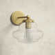 Marah Single Light Glass Dimmable Armed Sconce