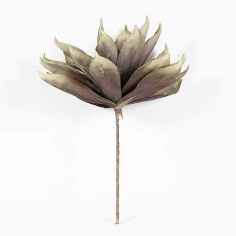 Filtre de vase tropical plante Braeden