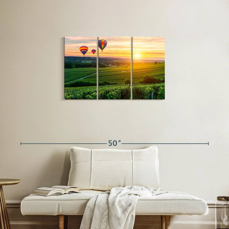 Ballons Alvord au-dessus du vignoble, H 20 po x l 33 po