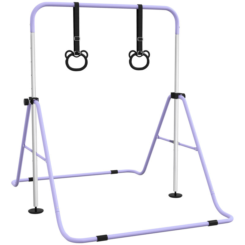 Isabelle & Max Burien Steel Foldable Outdoor Kids Game, Purple