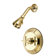 Polished Brass