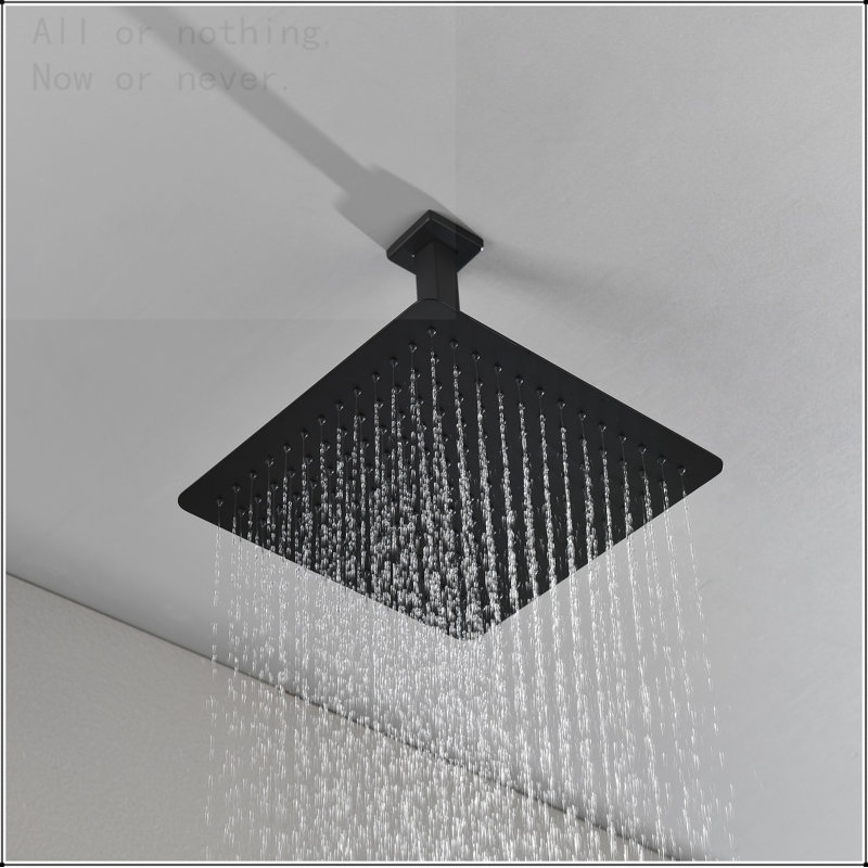 16 Inch Square Rain Shower Head Matte Black 304 Stainless Steel Showerhead, Matte Black