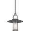 Luminaire suspendu suspendu 1 lumière Megerle pour l'intérieur ou l'extérieur avec abat-jour cylindrique en verre transparent