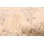 Tapis crème Looma 5 pi 3 po x 8 pi 1 po