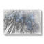 Beautiful Forest - Wrapped Canvas-61886022