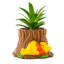 6 plantes