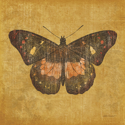 Papillon ocre sur toile