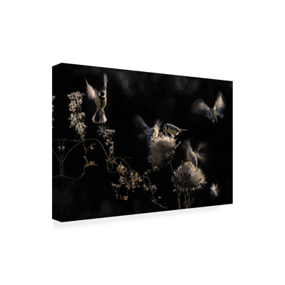 Art sur toile «Boline Martine Benezech»