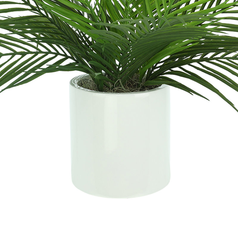 Outdoor UV Rated Palm in Fiberstone Pot