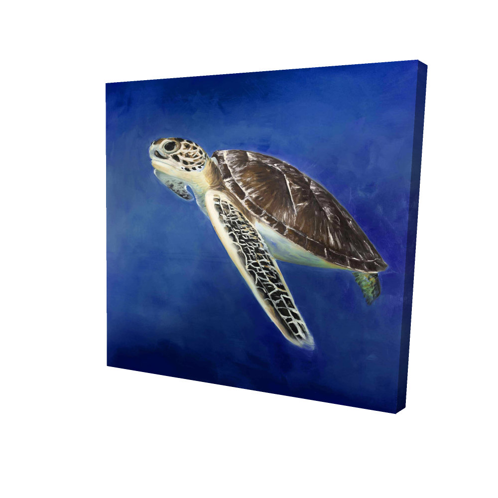 Begin Edition International Inc. Beautiful Sea Turtle - 16X16 Print On ...