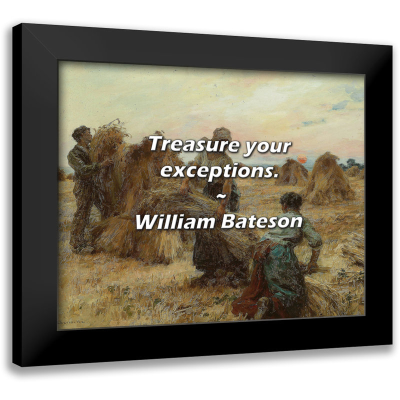 William Bateson Quote: Treasure your exceptions.