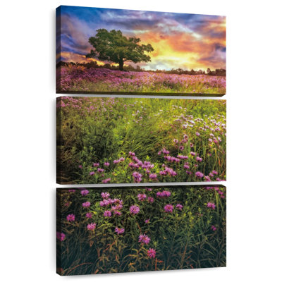 Alvord Summer Meadows