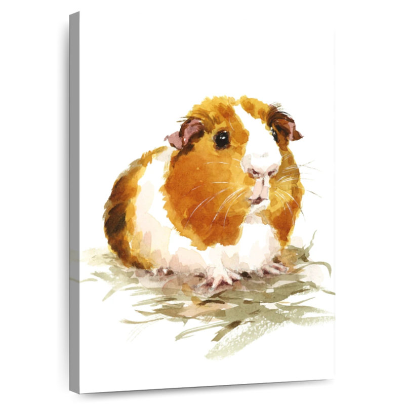 Brampt Guinea Pig, 30" H x 20" W