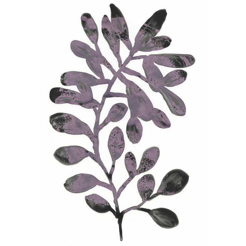 Foliage Fossil VIII by June Erica Vess - Wrapped Canvas Print, 46cm H x 30cm W