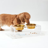 Clear Overflow Feeding Tray