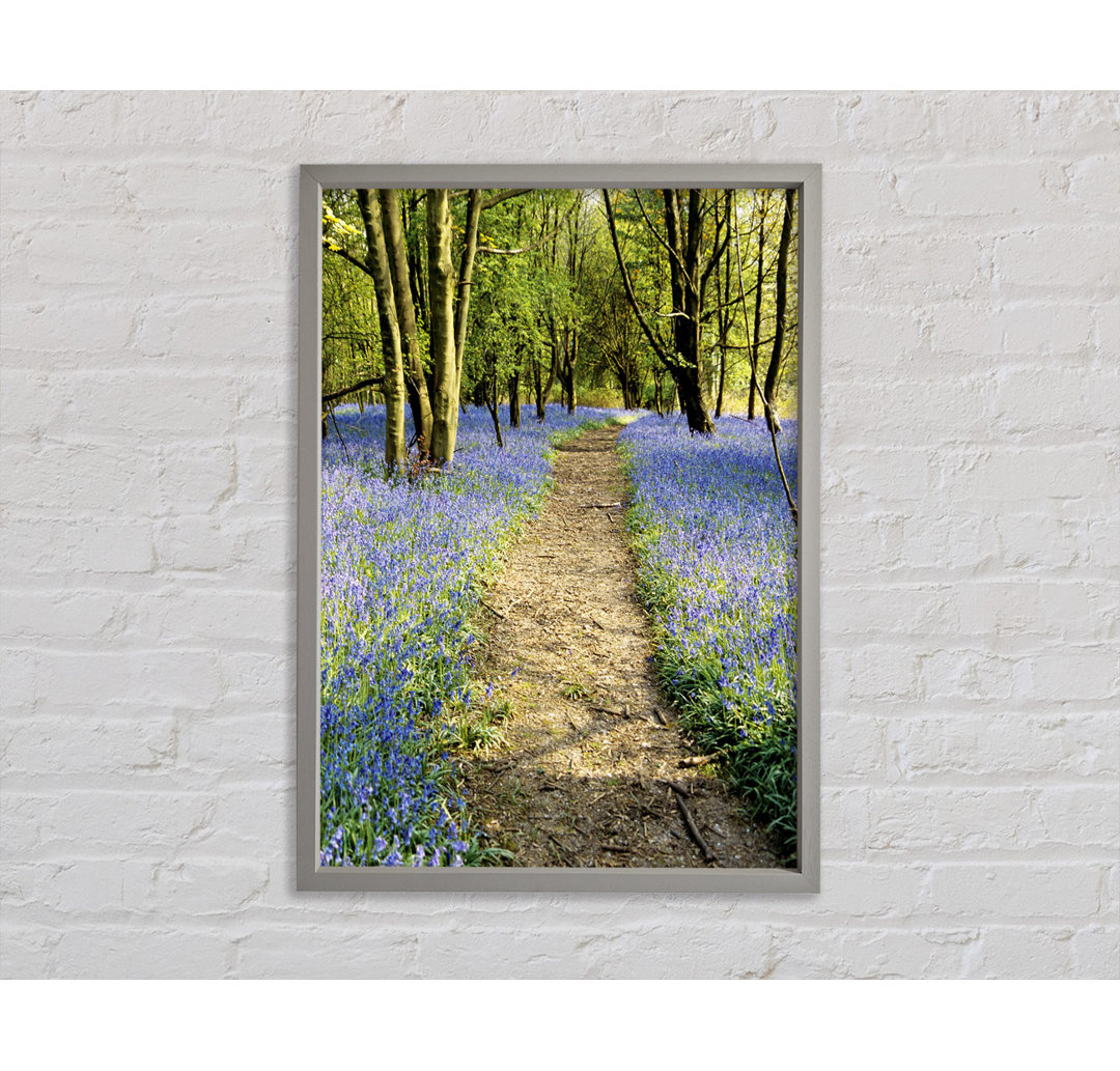 Bluebell Path - Einzelner Bilderrahmen Kunstdrucke auf Leinwand