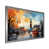 Silver Single Picture Framed