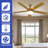 Betzie 52'' Ceiling Fan with LED Lights