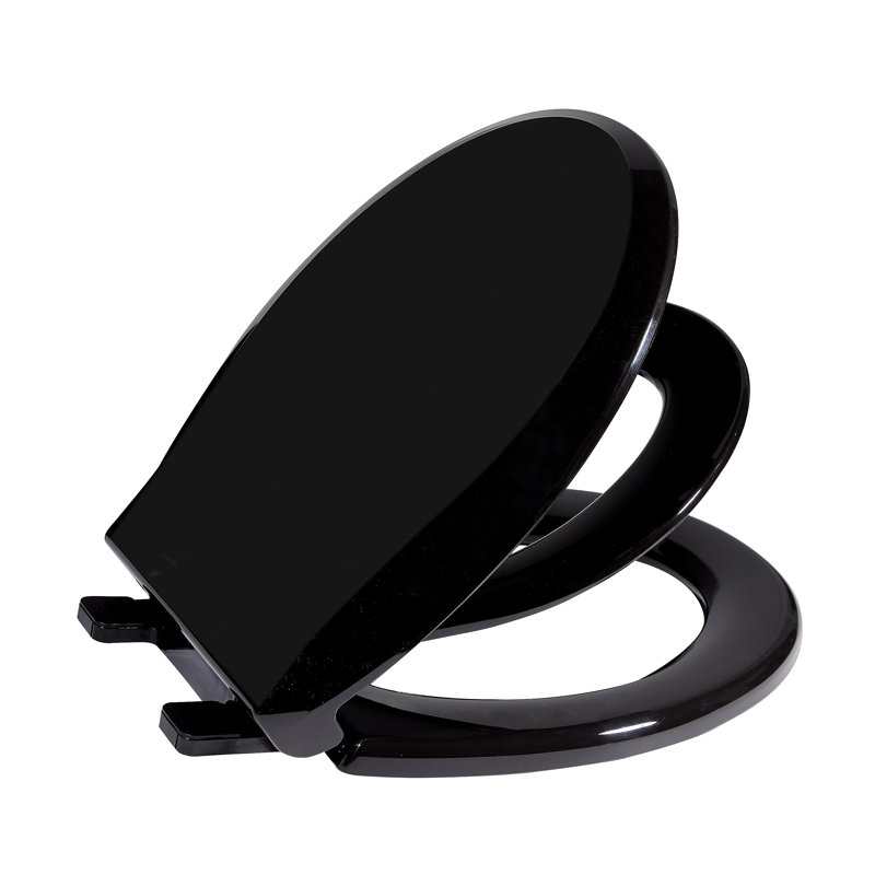 Elongated Toilet Seat for Adult/Child, Built-In Potty Training Seat, Soft Quiet Close Non-Slip Seat, Easy to Install & Clean, Magnetic Kids Seat and Cover for Elongated Oval Toilets, 19" Black