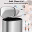 Pedal Bin, Soft-close Pedal Bin, Large Waste Bin With Lid, Removable Inner Bucket, Odour Isolate, For Kitchen, Bathroom, Office Step On Multi-Compartments Trash & Recycling Bin-1115106102-1124676625