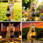 Statue d'extérieur, statue de jardin de chat tigré orange avec lanterne solaire - Décoration en résine réaliste pour le patio, la pelouse et les espaces extérieurs