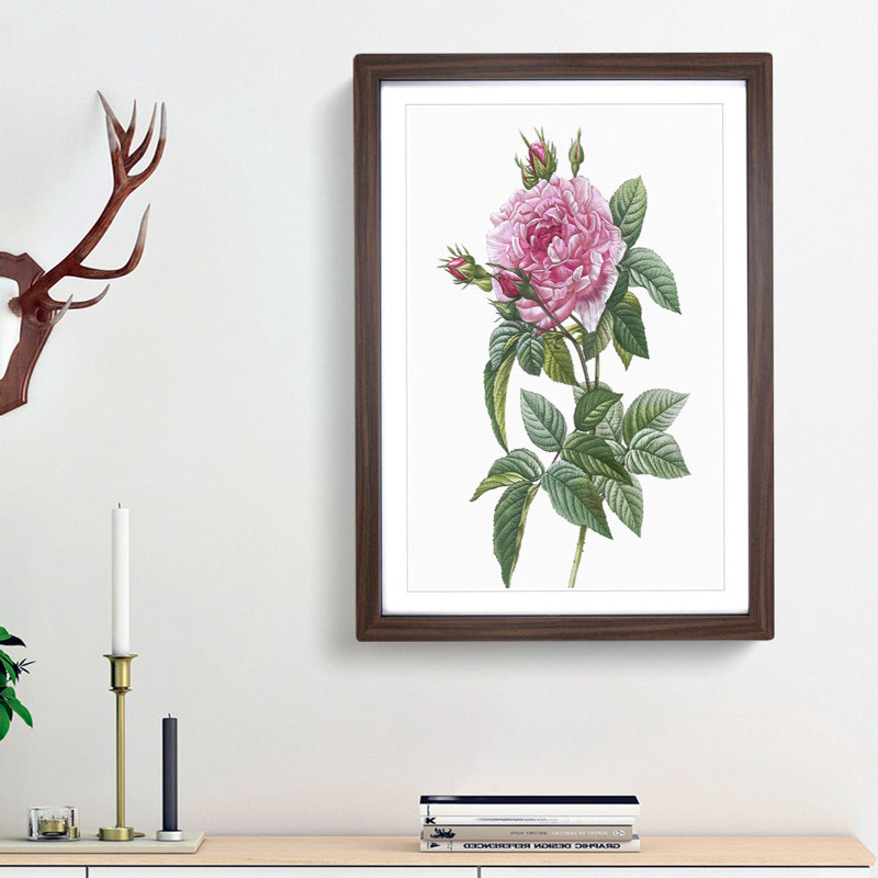 A French Rose In Pink by Pierre-Joseph Redoute - Single Picture Frame Painting, Walnut Framed, 33cm H x 24cm W x 2cm D
