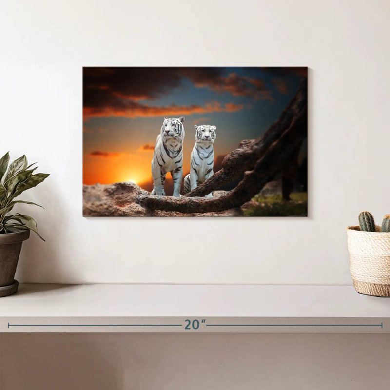 Brampt Wild White Tigers, 8" H x 12" W