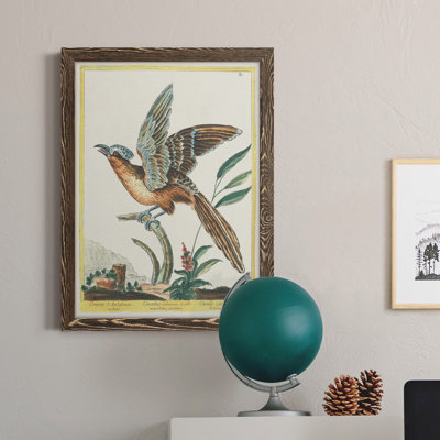 Toile encadrée Pastel Birds IV Premium - prête à être accrochée