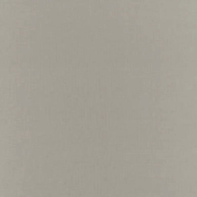 Botticelli Silk Taffeta Fabric