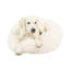 Lit rond pour chat-50918139