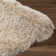 Petrey Indoor Rug