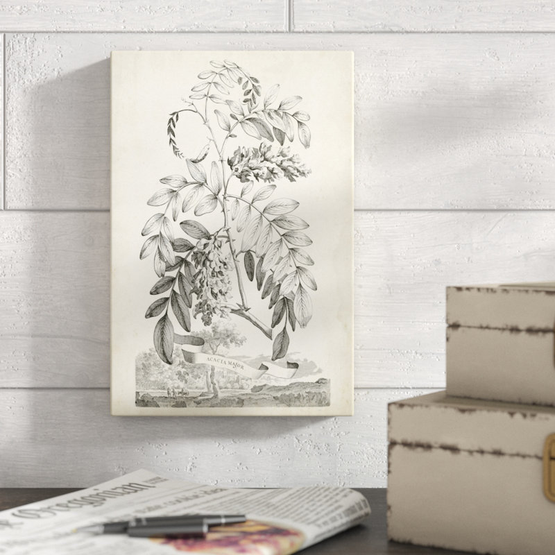 Scenic Botanical I by Abraham Munting - Print on Canvas, 30cm H x 20cm W, Wrapped Canvas