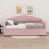 Rose est en rupture de stock