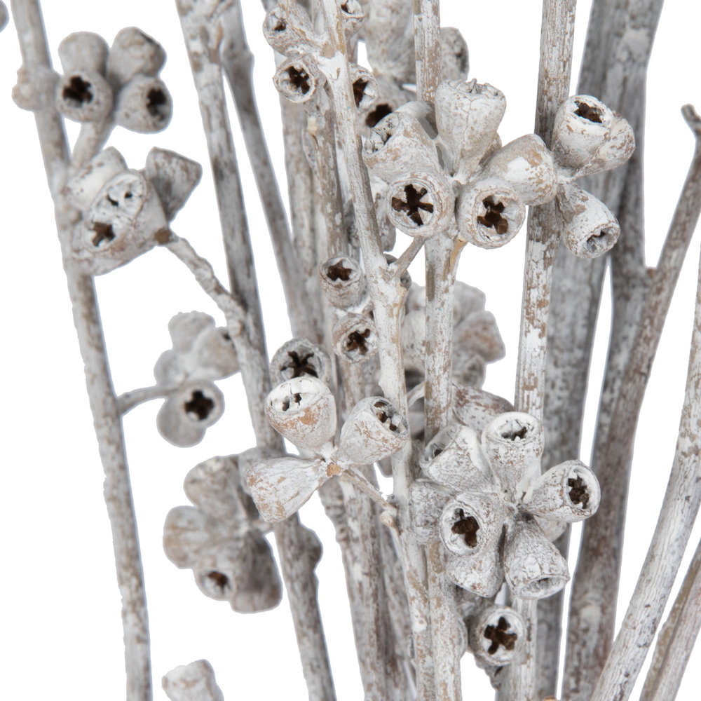 13'' Branch, White Wash