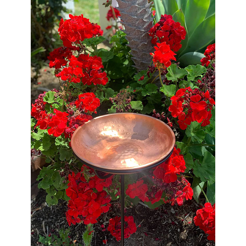 Birdbath