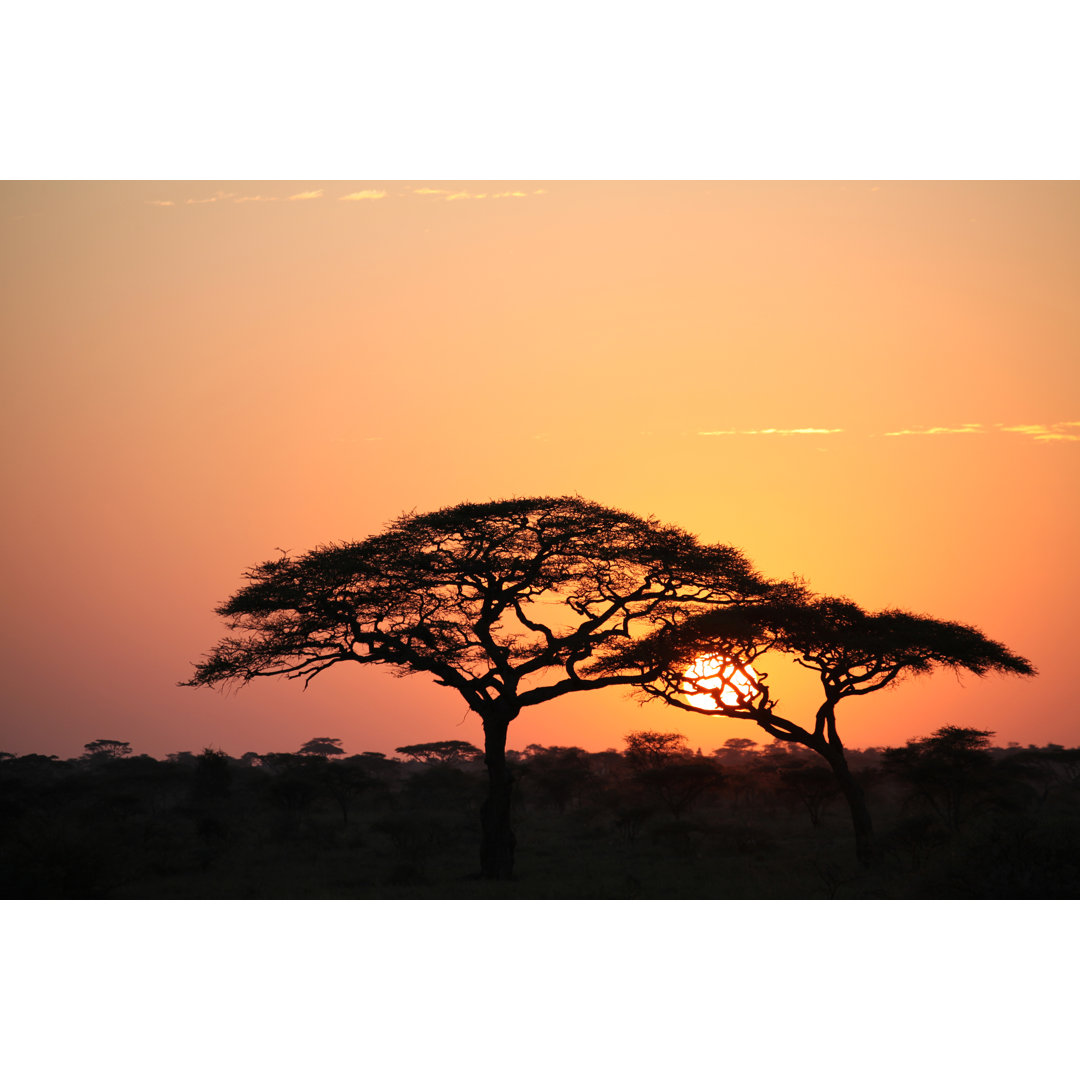 Afrikanischer Sonnenaufgang in der Serengeti von Yenwen - Druck