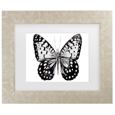 Canvas Art " Monochrome Wings Whole I " by Annie Warren Painting Print