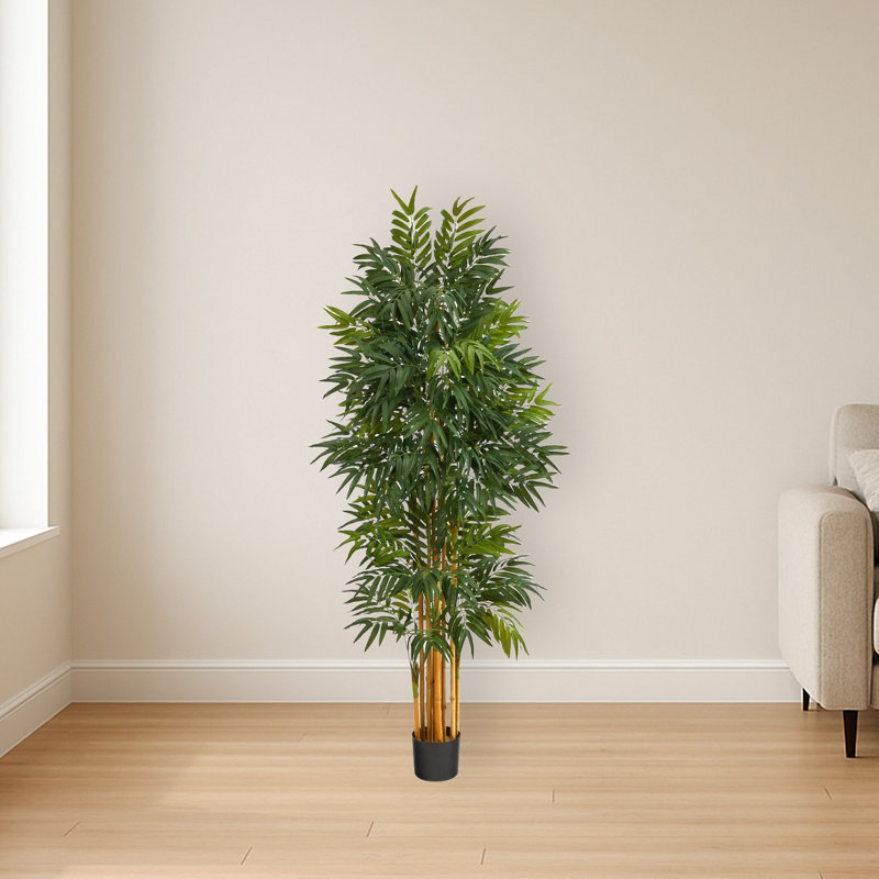 Phoenix Artificial Palm Tree with Natural Trunk, 66" H x 20" W x 20" D