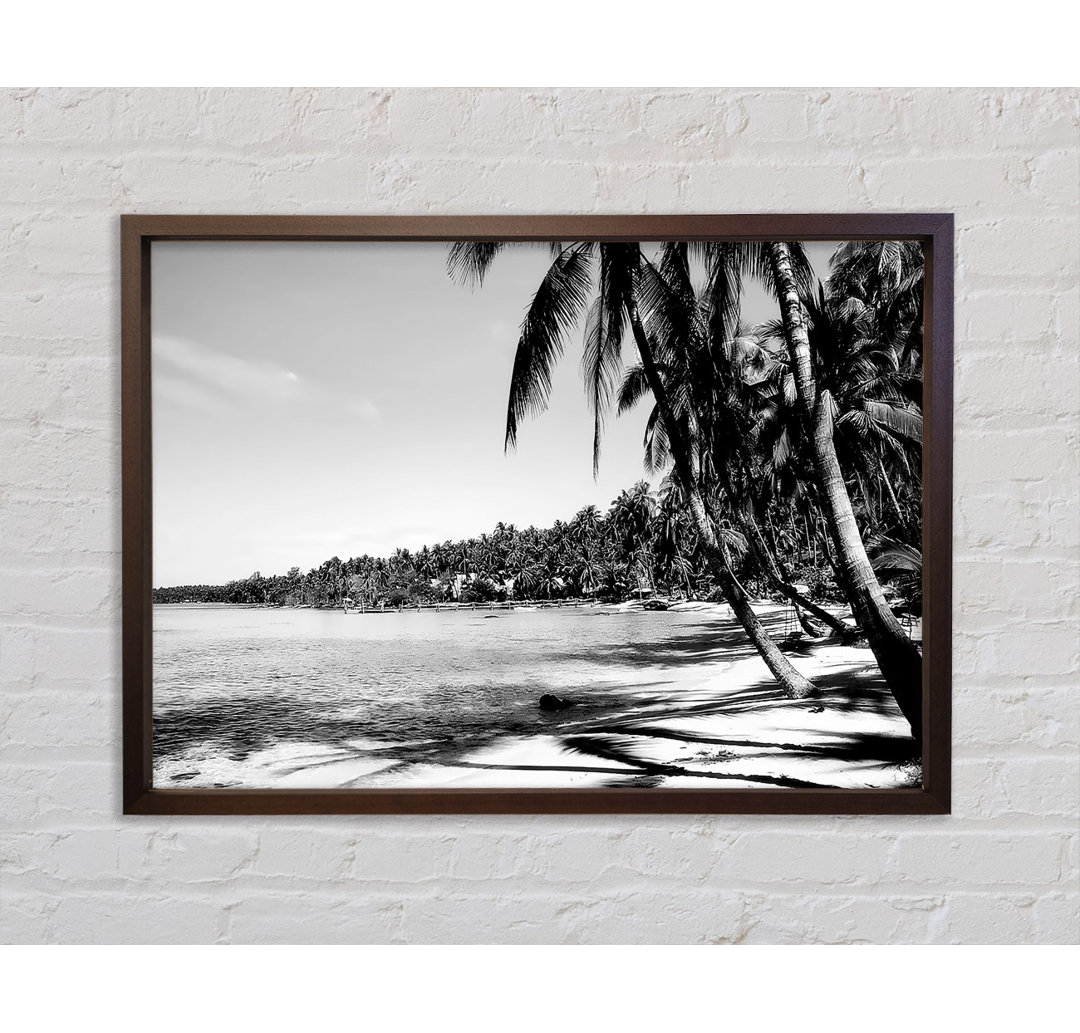 Beach Palms B N W - Druck