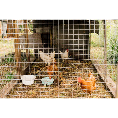 Hardware Cloth 1/4 Inch 48In X 50Ft 23 Gauge, Hot-Dip Galvanized After Welding Chicken Wire Fence Roll Garden Plant Welded Metal Wire Fencing Roll, Rabbit Cages Snake Fence