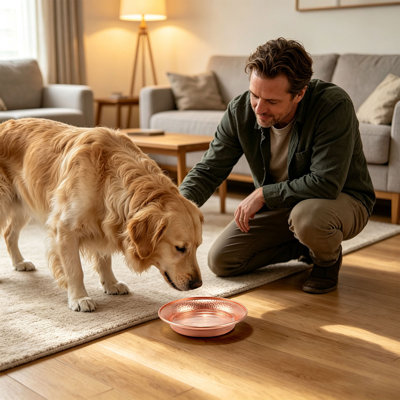 Plastics pets bowls Copper Dog Pot Copper Dog Water Pot For Dogs And Cats