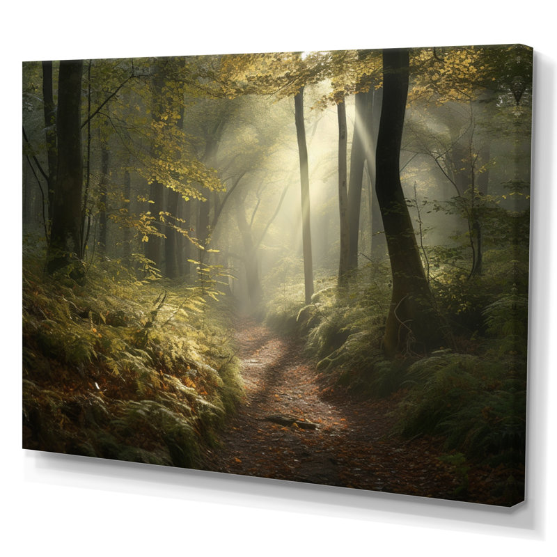 Forêt, art mural sur toile, Misty Woodland Trail - Misty Trail in the Woods I, H 12 po x l 20 po x P 1 po, Toile tendue