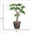 53.5'' Faux Pine Tree in Planter